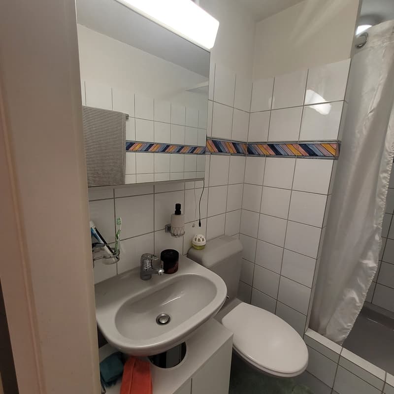 Appartement confortable sans balcon (12)