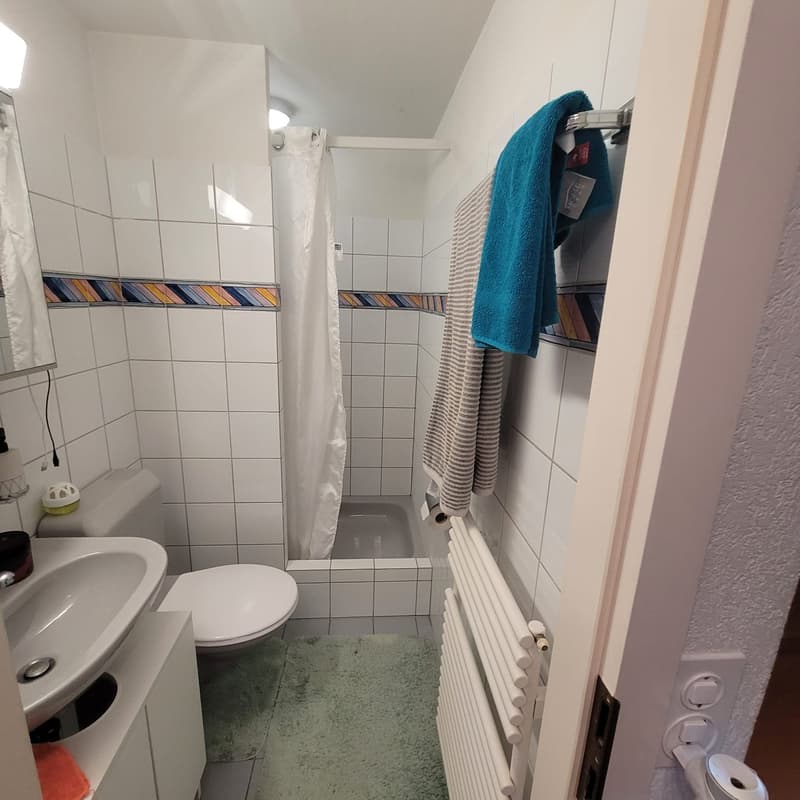 Appartement confortable sans balcon (11)