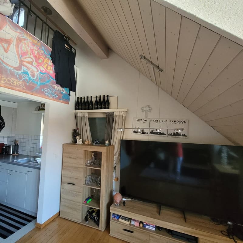 Appartement confortable sans balcon (7)