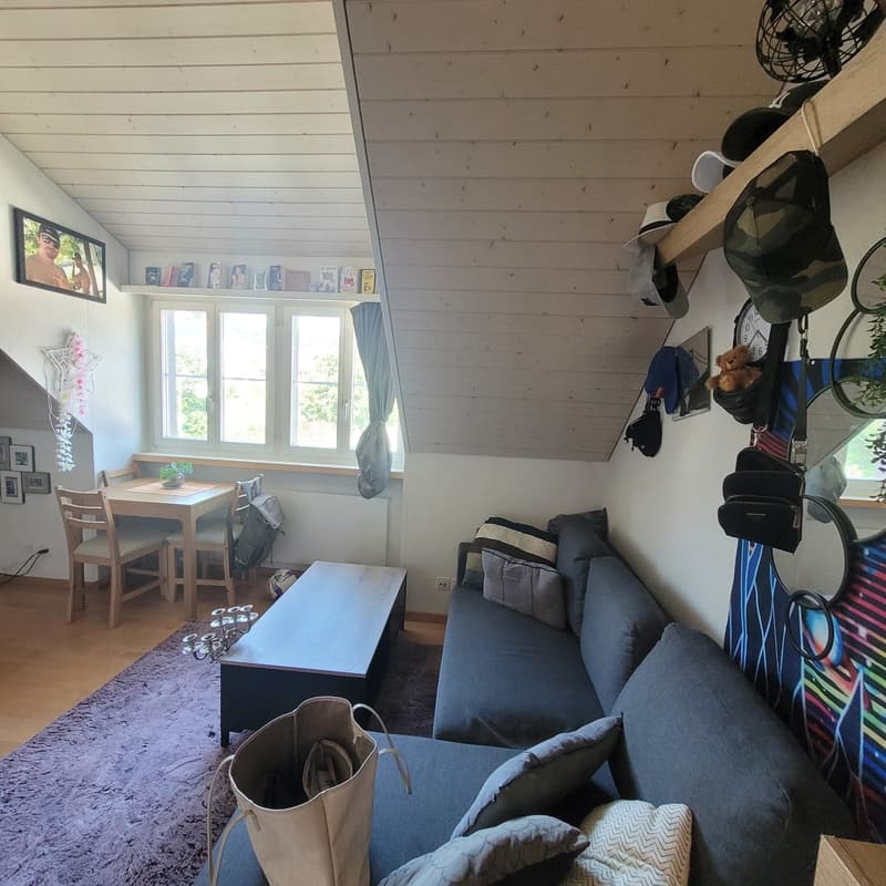 Appartement confortable sans balcon (2)