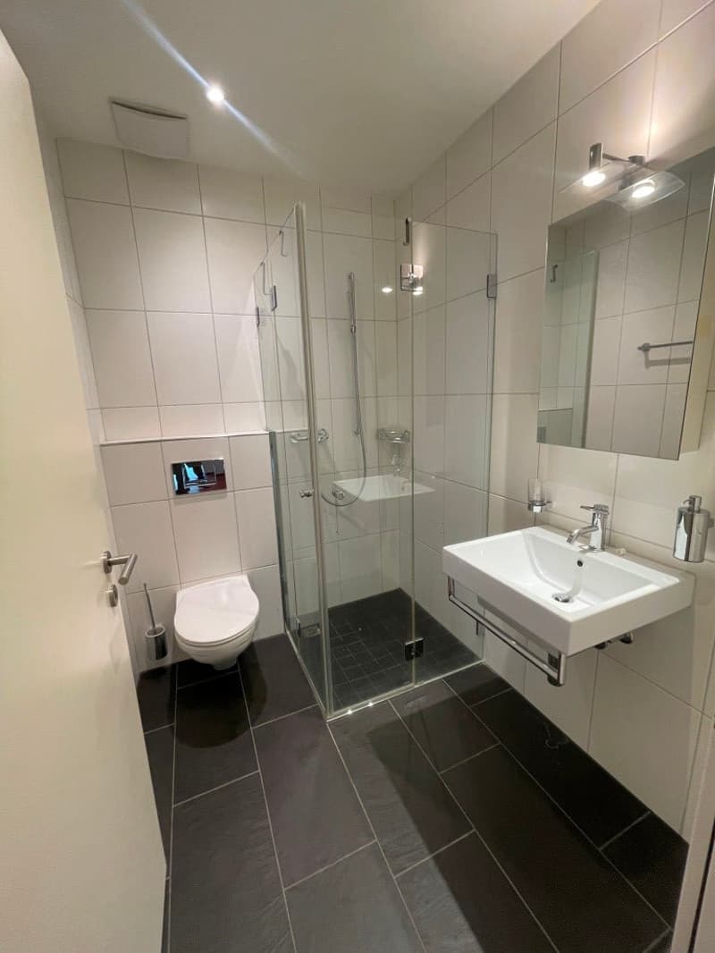 Moderne 4½-Zimmer-Gartenwohnung in gehobener Überbauung (8)