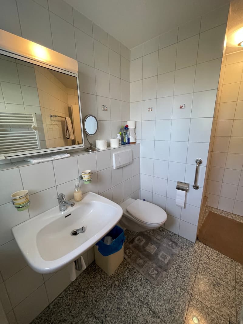 Charmante 4.5-Zimmer-Maisonette-Wohnung in Egg (ZH) (4)