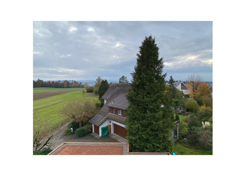 Moderne Dach-Maisonettewohnung mit Charme an ruhiger Lage (2)