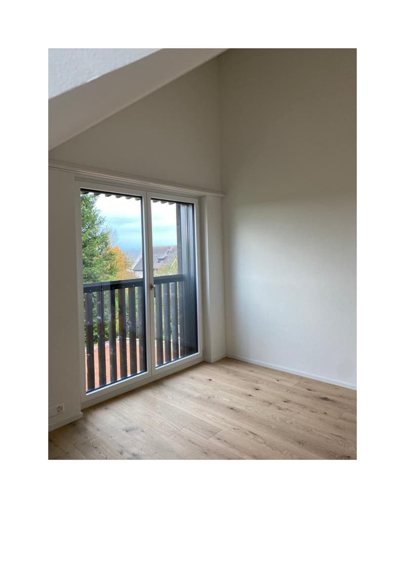 Moderne Dach-Maisonettewohnung mit Charme an ruhiger Lage (3)