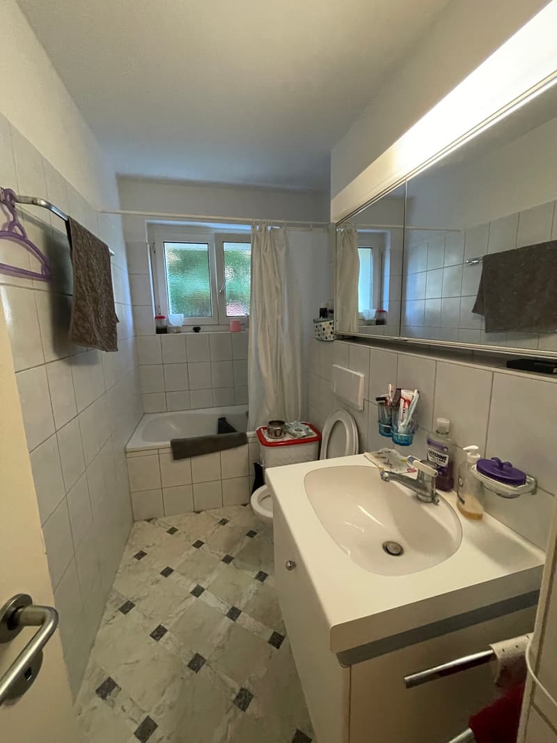 Gemütliche 3-Zimmer-Wohnung mit Balkon in Zürich-Seebach (5)