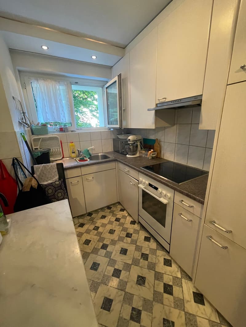 Gemütliche 3-Zimmer-Wohnung mit Balkon in Zürich-Seebach (4)