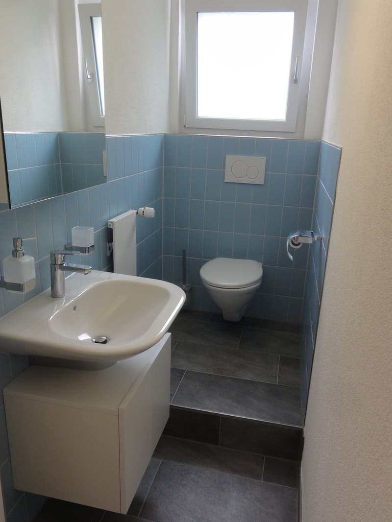 Schöne, grosse Wohnung befristet bis 31.01.2027 zu vermieten (4)
