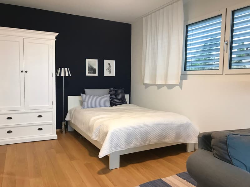 Exklusive Wohnung mit schöner Aussicht (7)