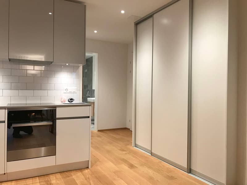 Exklusive Wohnung mit schöner Aussicht (2)