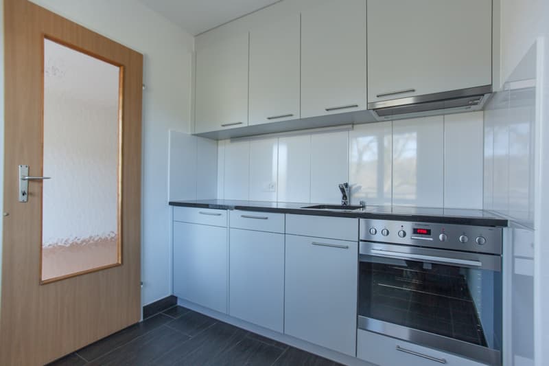 Bel appartement 2 pièces en location dans un quartier calme (3)