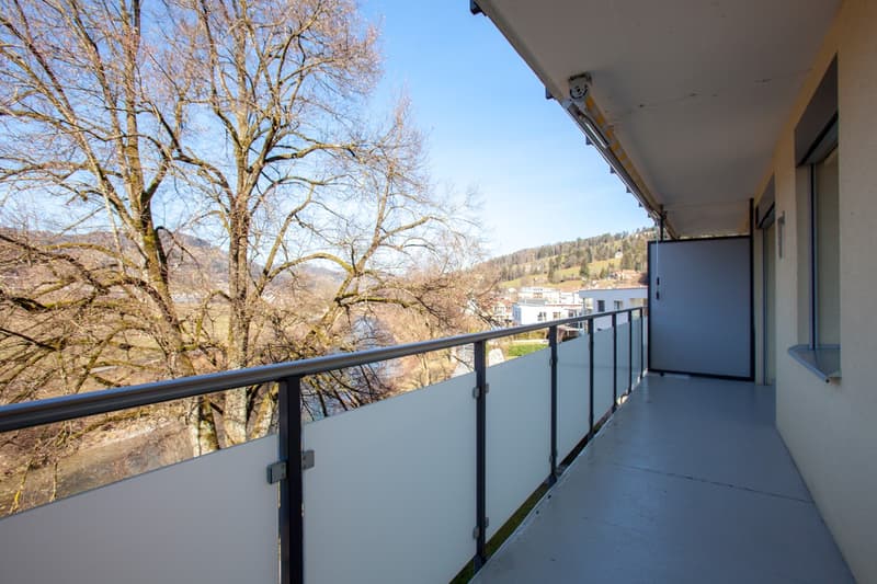 Bel appartement 2 pièces en location dans un quartier calme (1)