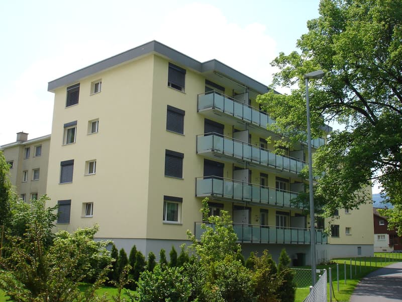 Bel appartement 2 pièces en location dans un quartier calme (11)