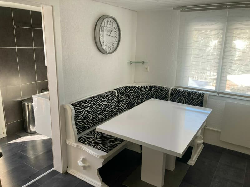 Appartement 4 pièces à côté de la piste de ski (2)