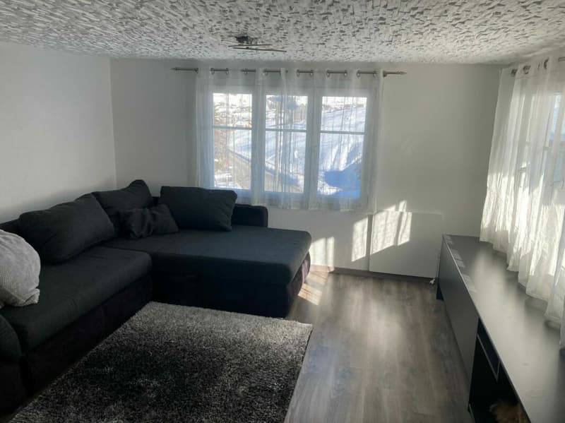 Appartement 4 pièces à côté de la piste de ski (3)