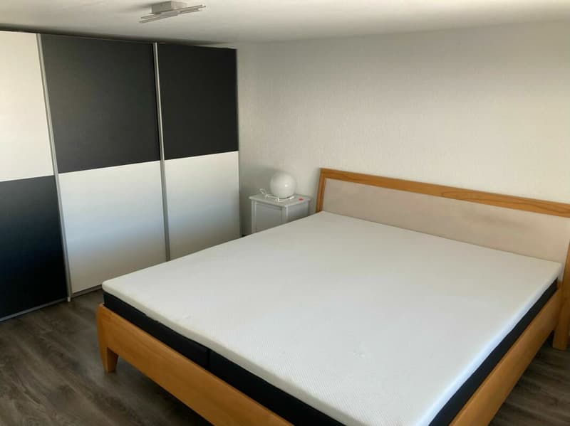 Appartement 4 pièces à côté de la piste de ski (5)