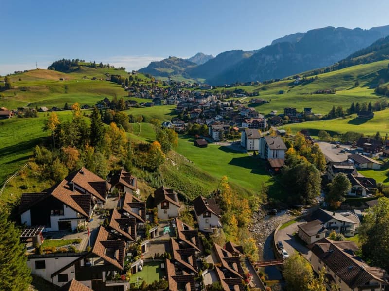 Top-gepflegte Terrassenwohnung mit Bergpanorama! (14)