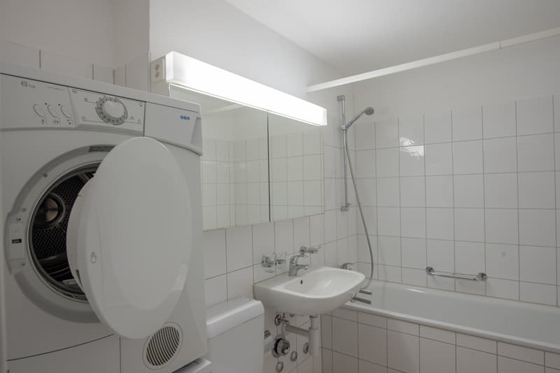 Large 1-bedroom apartment for rent! (4)
