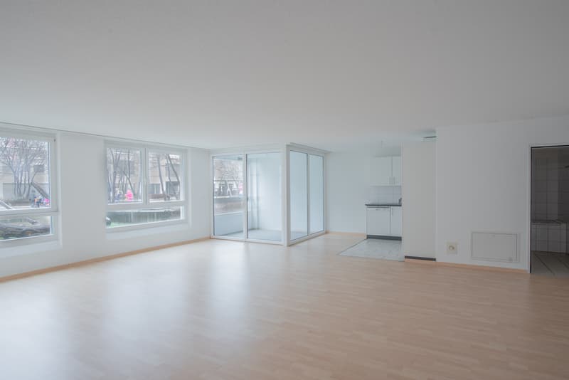 Large 1-bedroom apartment for rent! (2)