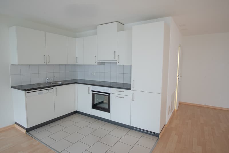 Large 1-bedroom apartment for rent! (3)