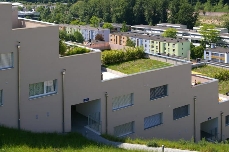 Attractive 5.5 room maisonette apartment with terrace and roof garden! (1)