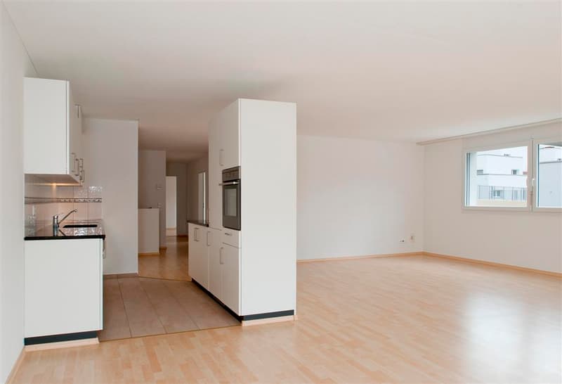 Appartamento-mansarda attraente di 5,5 locali con terrazza e giardino sul tetto! (3)