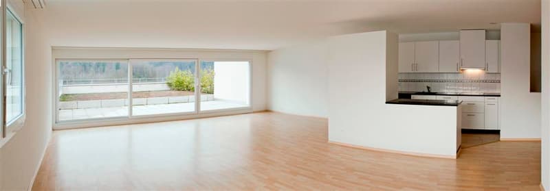 Appartamento-mansarda attraente di 5,5 locali con terrazza e giardino sul tetto! (2)