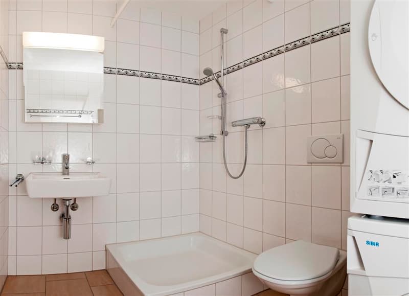 Appartamento-mansarda attraente di 5,5 locali con terrazza e giardino sul tetto! (6)