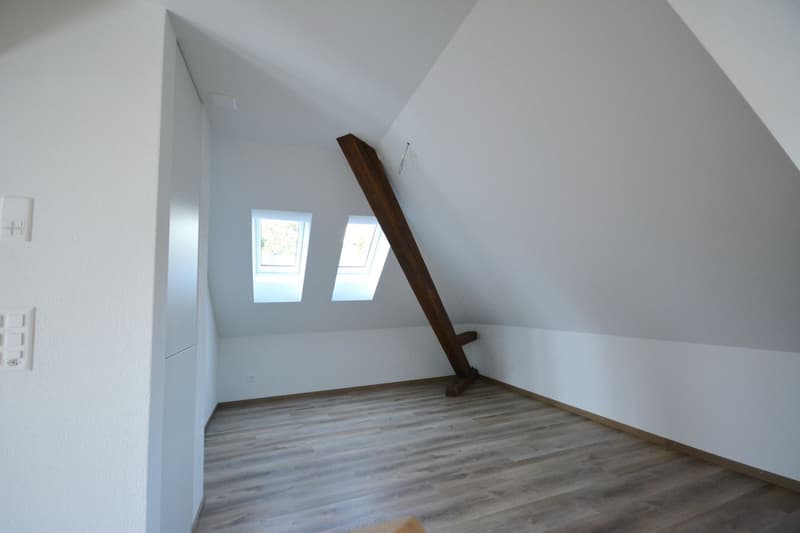 Appartement loft en mansarde sur 2 étages dans une villa à Aarburg (3)