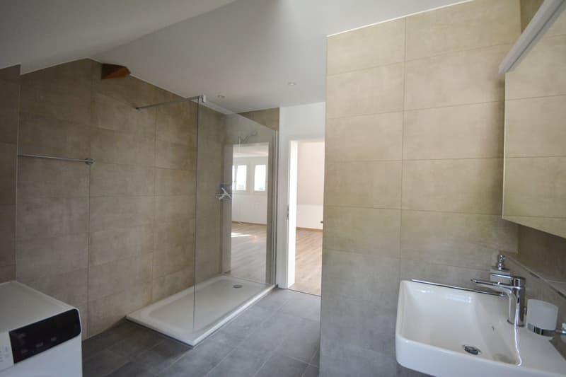 Appartement loft en mansarde sur 2 étages dans une villa à Aarburg (5)