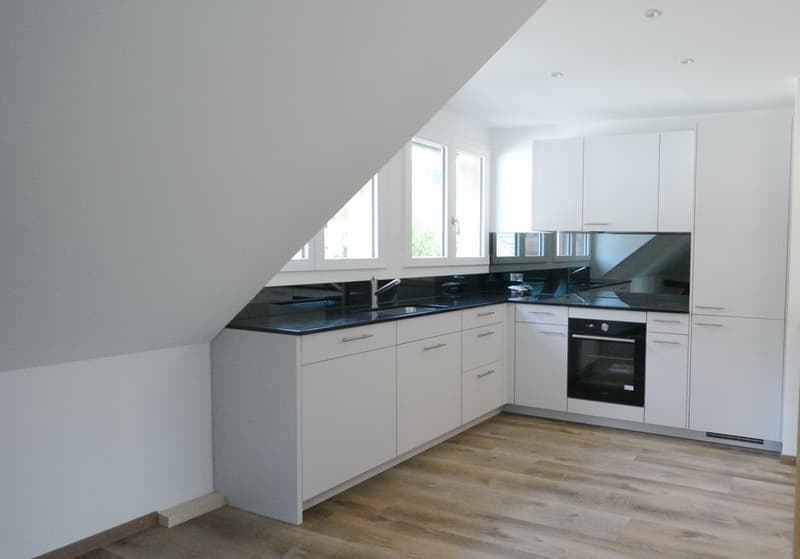 Appartement loft en mansarde sur 2 étages dans une villa à Aarburg (4)