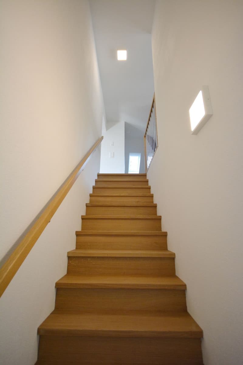 Appartement loft en mansarde sur 2 étages dans une villa à Aarburg (6)