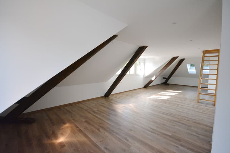 Appartement loft en mansarde sur 2 étages dans une villa à Aarburg (2)
