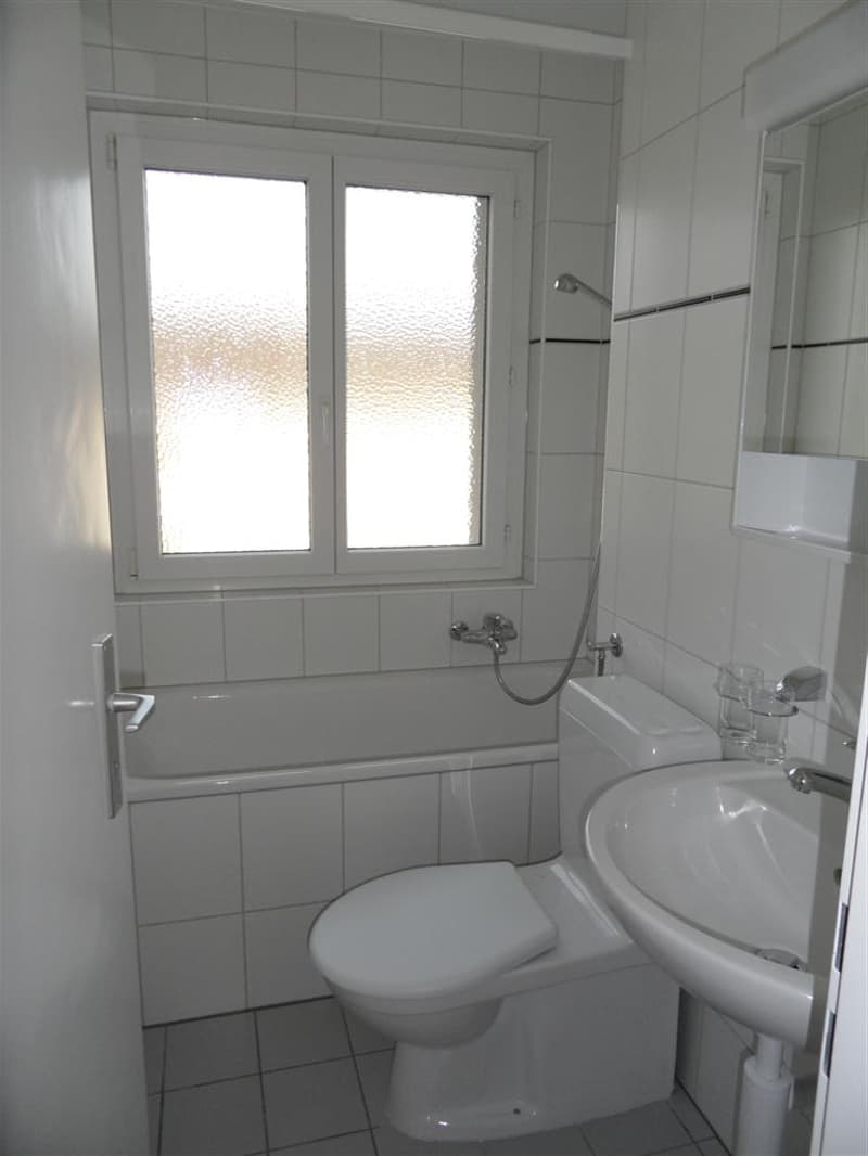Bello appartamento di 3 locali con balcone soleggiato (7)