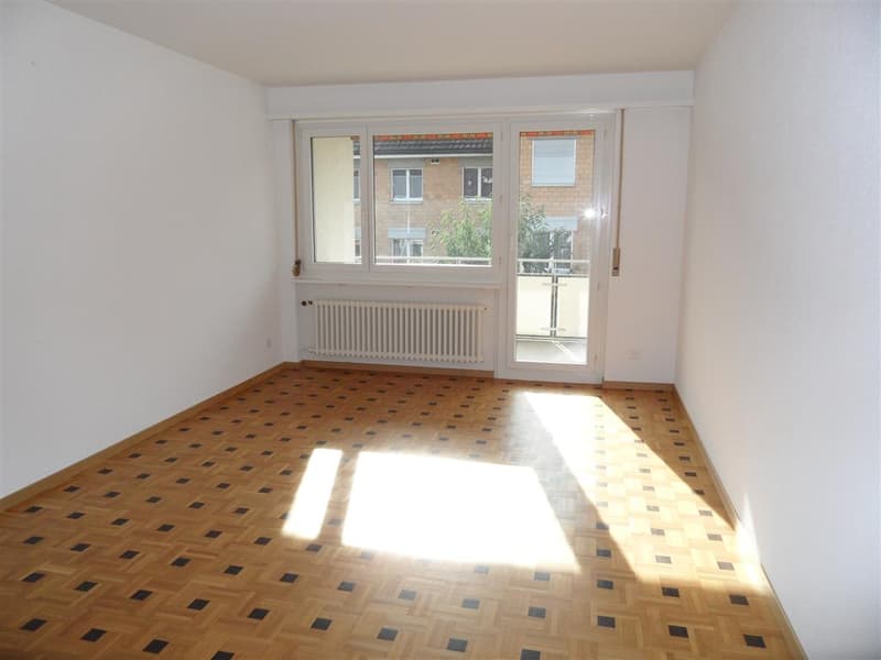 Bello appartamento di 3 locali con balcone soleggiato (2)