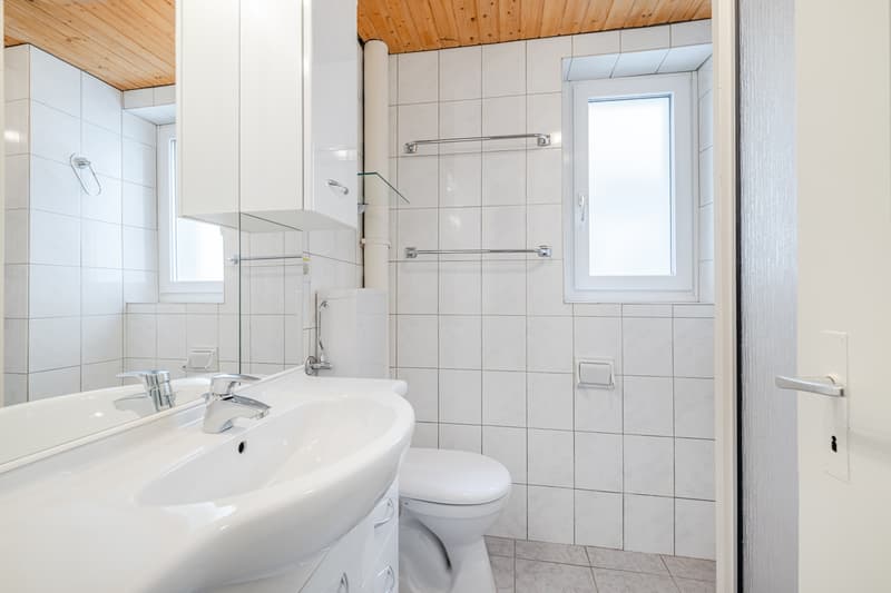 Ampio appartamento di 3.5 locali con bella terrazza sul tetto (7)
