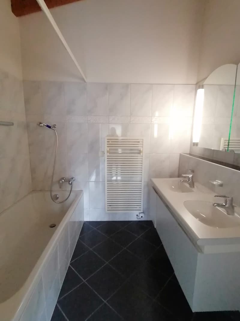 Beautiful 4.5-room apartment in a central location (5)