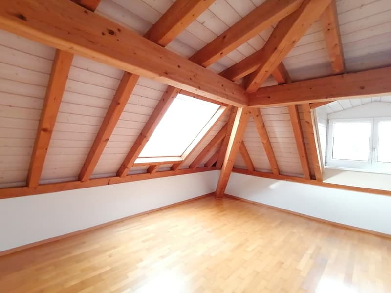 Beautiful 4.5-room apartment in a central location (3)