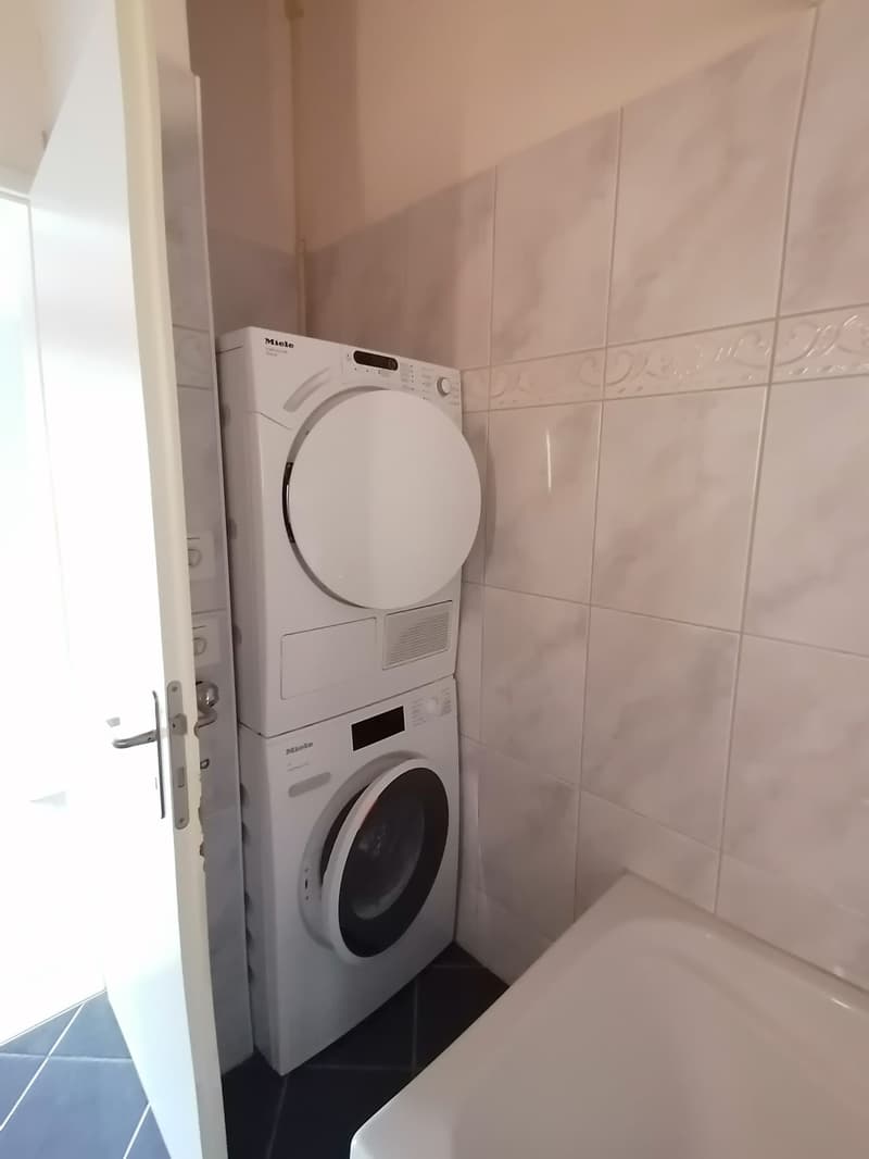 Beautiful 4.5-room apartment in a central location (6)
