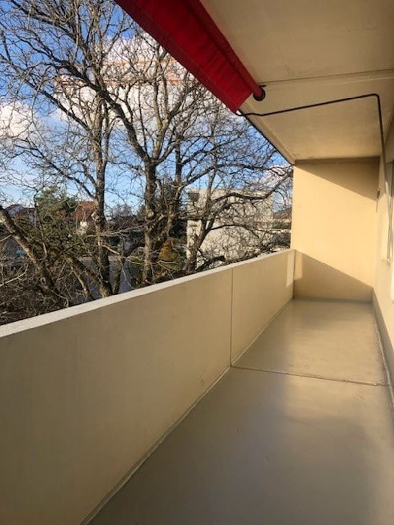 Gemütliche 4-Zimmer-Wohnung (11)