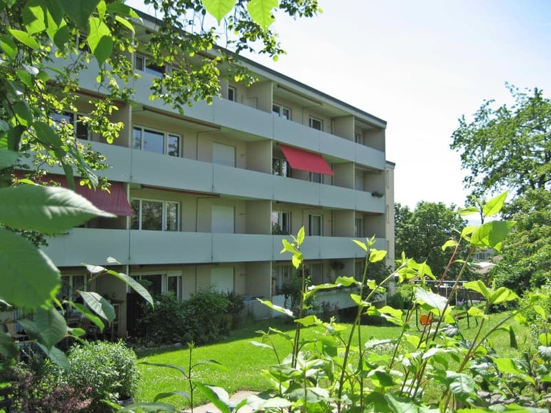 Gemütliche 4-Zimmer-Wohnung (1)