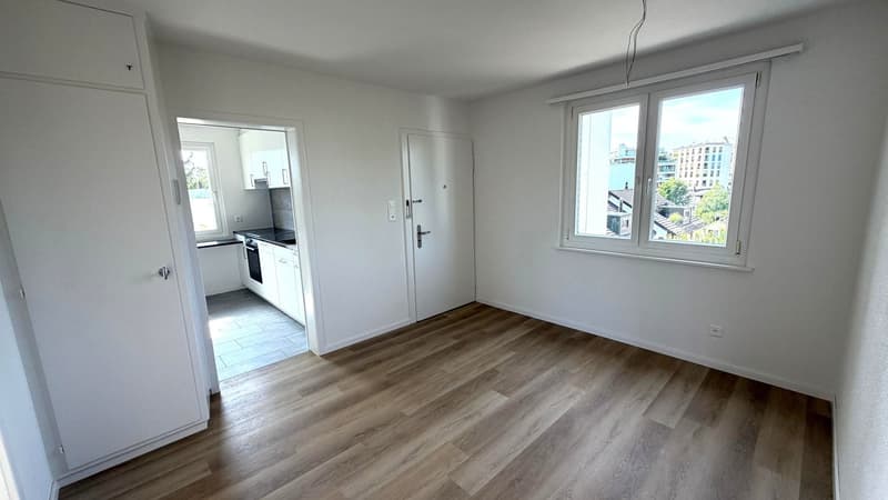 Frisch sanierte 4.5-Zimmer-Attikawohnung an zentraler Lage in Wetzikon (2)