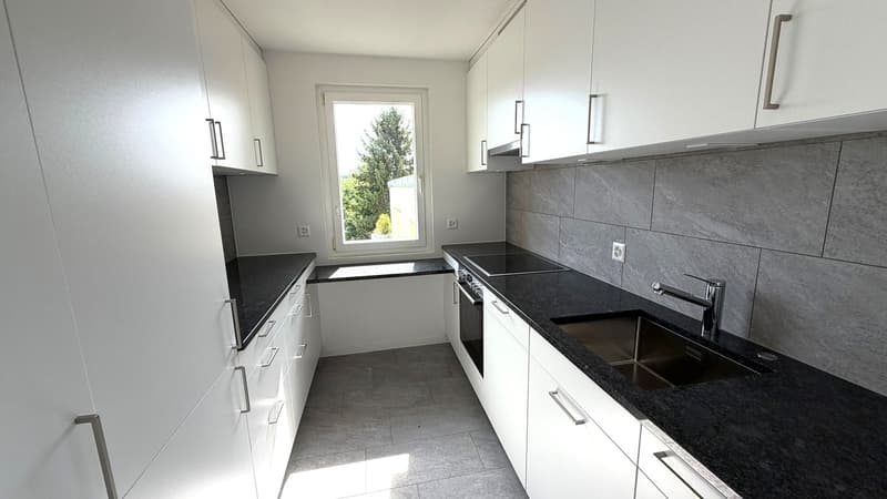 Frisch sanierte 4.5-Zimmer-Attikawohnung an zentraler Lage in Wetzikon (3)