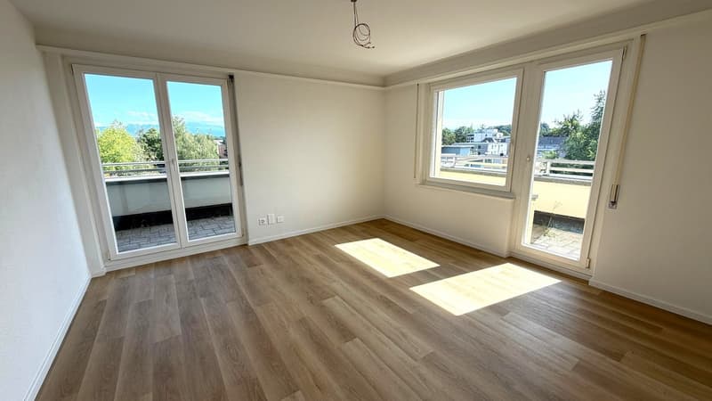 Frisch sanierte 4.5-Zimmer-Attikawohnung an zentraler Lage in Wetzikon (4)