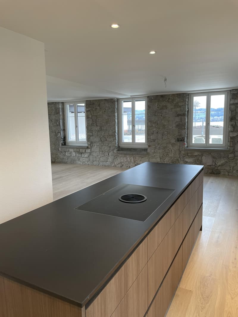 Appartement de rêve 3.5 pièces avec grande terrasse et vue directe sur le lac de Zurich ! (4)