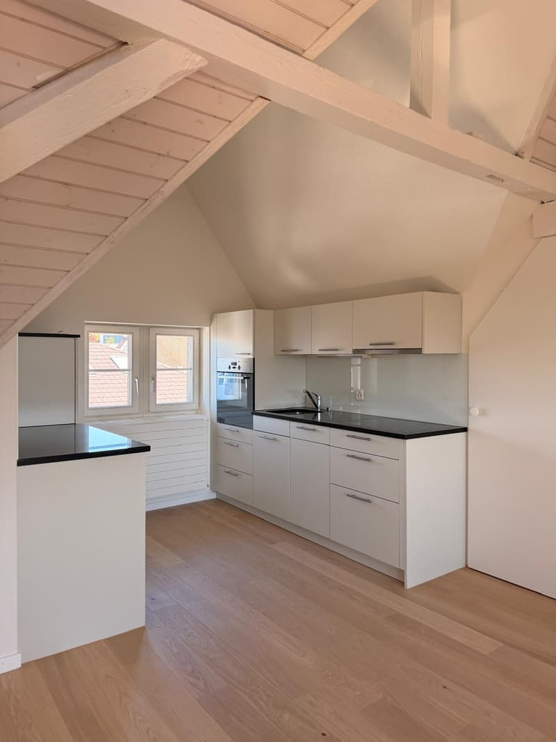 Habiter avec vue - charmant appartement en mansarde à Cham (2)