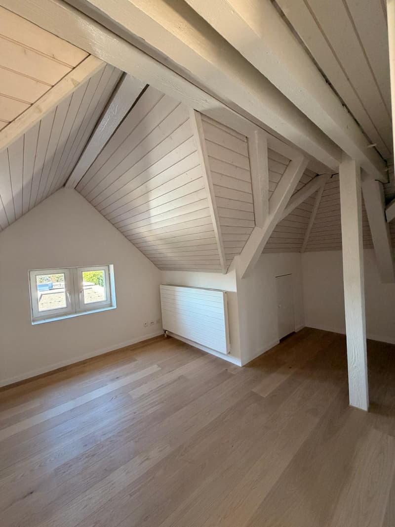 Habiter avec vue - charmant appartement en mansarde à Cham (4)