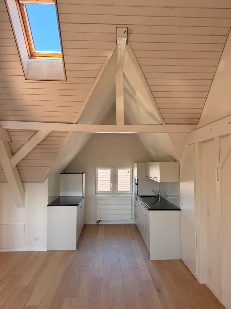 Habiter avec vue - charmant appartement en mansarde à Cham (3)