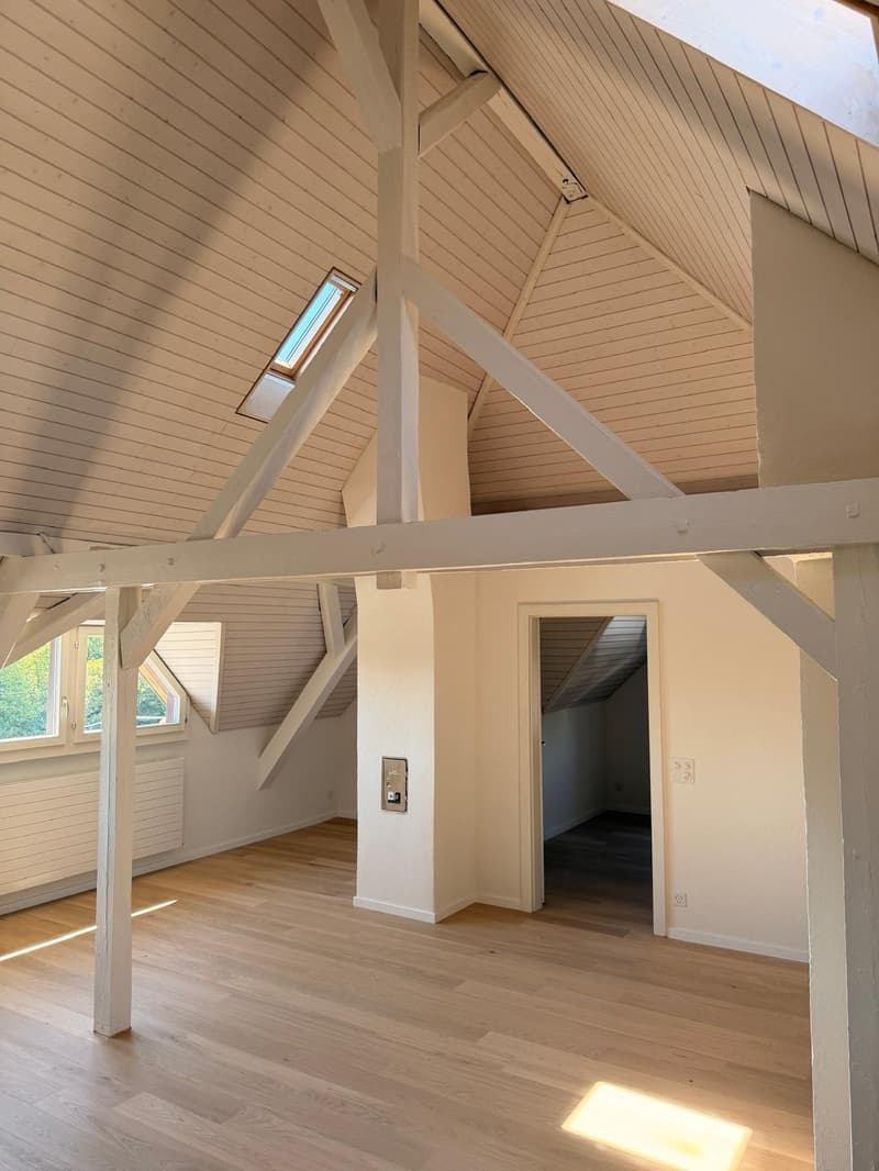 Habiter avec vue - charmant appartement en mansarde à Cham (5)