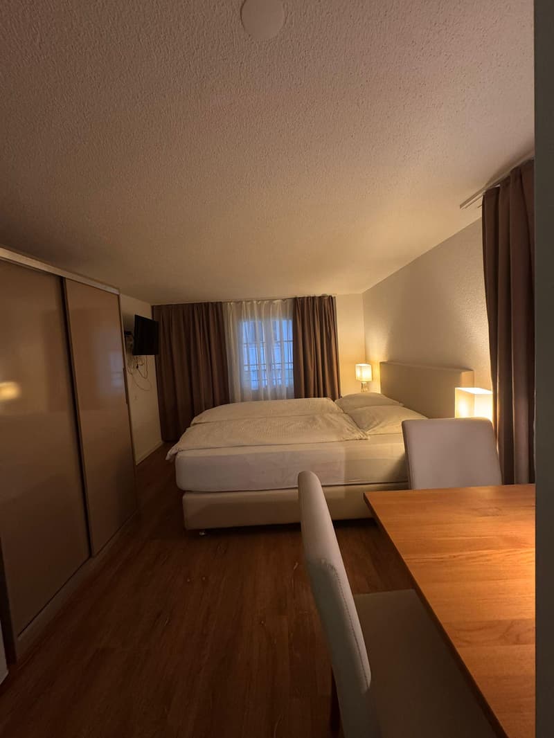 Appartamento 1 stanza accogliente a Küssnacht am Rigi, arredato & centrale (2)