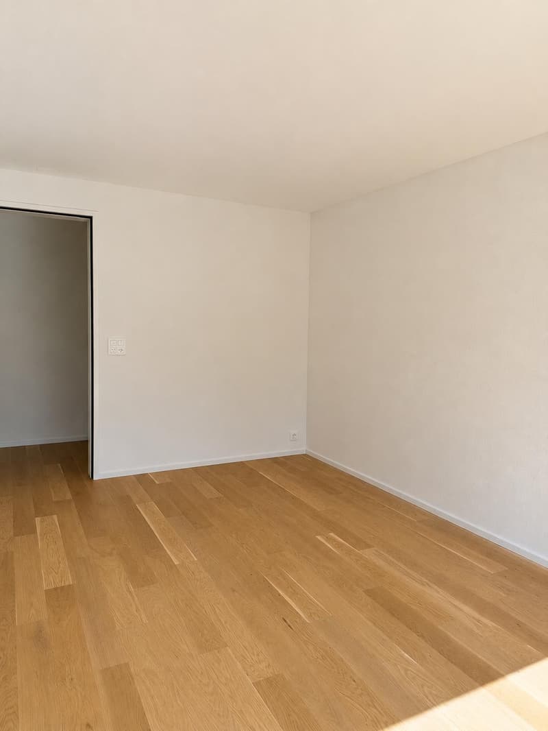 Appartement attique moderne 3.5 pièces à Aarburg (4)